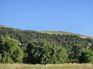 View of mountain backdrop with a forest