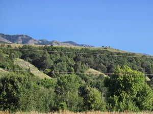 View of mountain backdrop featuring a forest