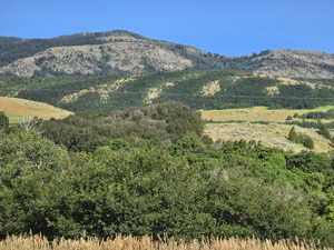 View of mountain background with a forest