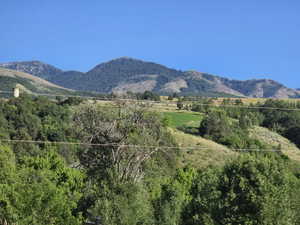 View of mountain backdrop featuring a heavily wooded area