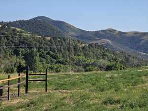 View of mountain background with a forest