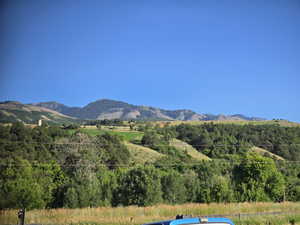 View of mountain background with a forest