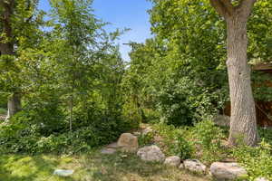 View of nature