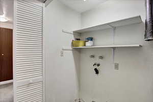 Laundry area featuring carpet floors
