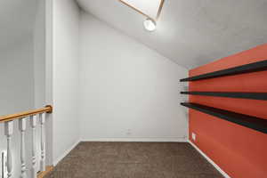 Bonus room featuring vaulted ceiling, carpet, and a textured ceiling