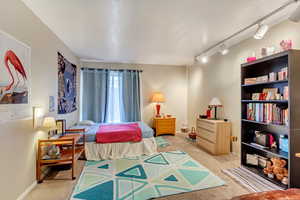 Carpeted bedroom featuring track lighting