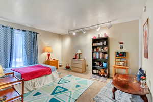 Bedroom with track lighting and carpet floors