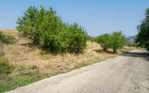View of dirt / gravel road with a mountain view