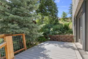Patio off bedroom 3