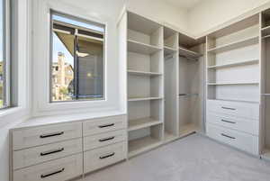 Spacious closet featuring light carpet