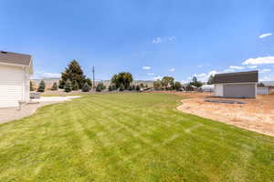 View of grassy yard with a shed