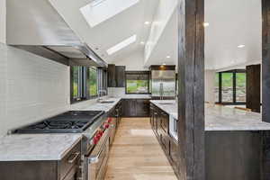 Kitchen featuring high end appliances, ventilation hood, a skylight, light wood finished floors, and dark brown cabinetry