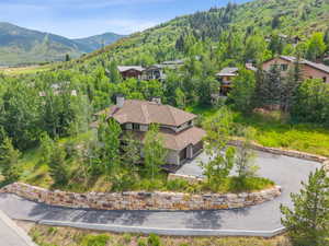 Drone / aerial view of a mountain backdrop and a forest