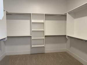 Spacious closet featuring carpet flooring