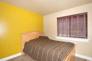 Bedroom with carpet