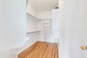 Spacious closet with light wood-style floors