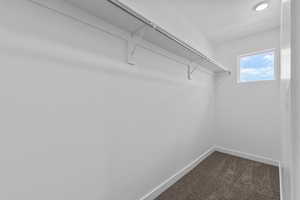 Walk in closet featuring dark carpet