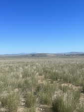 View of undeveloped land