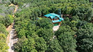Aerial view of a forest