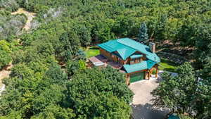 Aerial view of a forest
