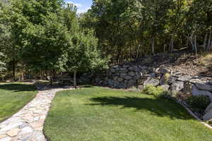 View of grassy yard