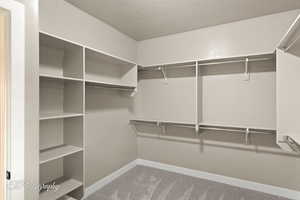 Walk in closet with carpet