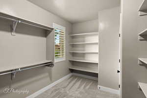 Walk in closet with light colored carpet