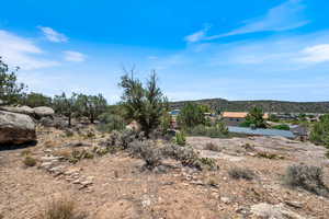 View of local wilderness