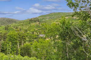 View of mountain backdrop