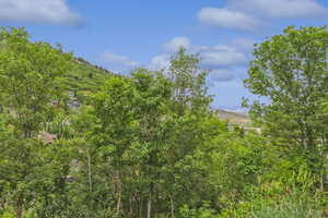View of undeveloped land featuring mountains