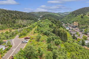 Bird's eye view of a forest and a mountainous background