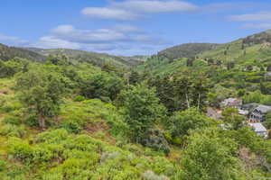 View of mountain background with a forest