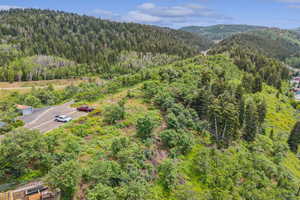 Aerial view of a heavily wooded area and mountains