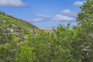 View of mountain background