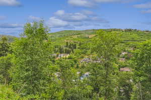 View of mountain background