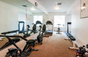 Exercise area with plenty of natural light and carpet flooring