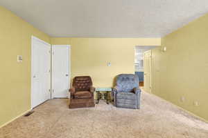 Living area with carpet and a textured ceiling