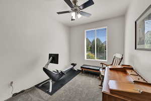 Workout area featuring plenty of natural light, carpet floors, and a ceiling fan