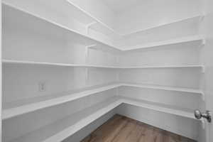 View of walk-in pantry