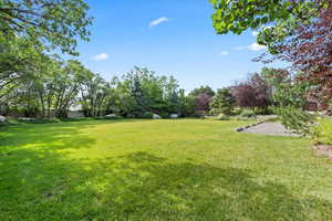 View of grassy yard