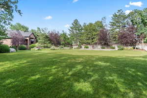 View of green lawn