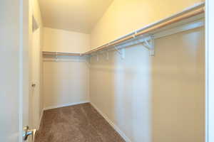 Walk in closet featuring carpet floors