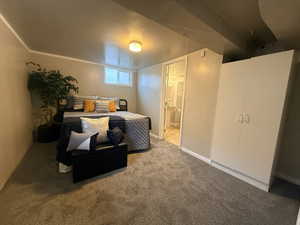 Carpeted bedroom with ensuite bathroom