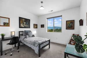 Bedroom featuring carpet flooring and an office area