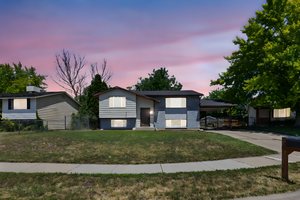 View of front of home featuring an attached carport and concrete driveway