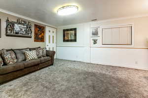 Carpeted living area with crown molding, wainscoting, and a textured ceiling