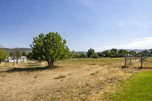 View of yard with a view of rural / pastoral area and a mountain view