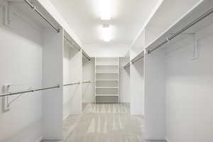 Spacious closet featuring light carpet