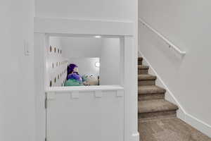 Staircase with carpet flooring