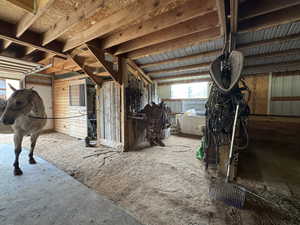 View of horse barn